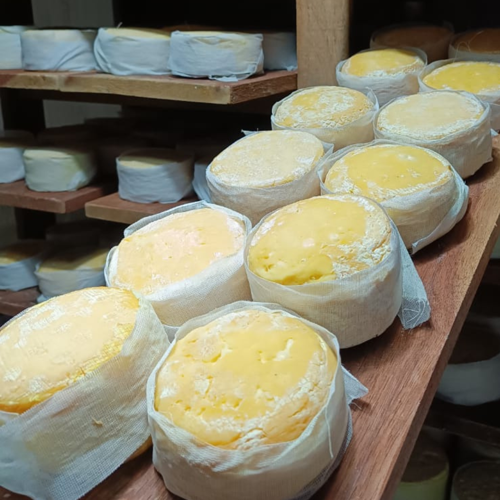 Queijos artesanais em SJC e região: onde saborear laticínios gourmet