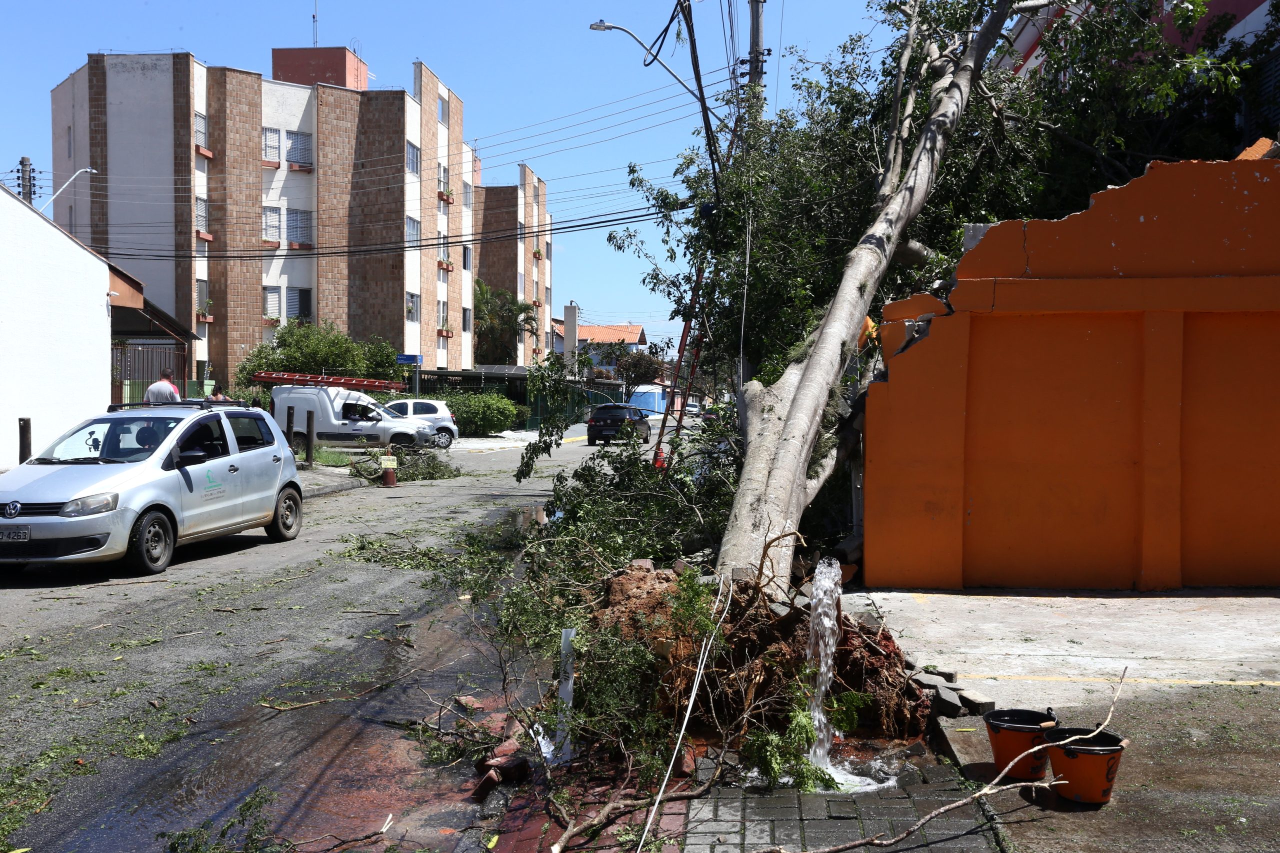 árvore caída em cima de muro após tempestade em São José, no Vale do Paraíba
