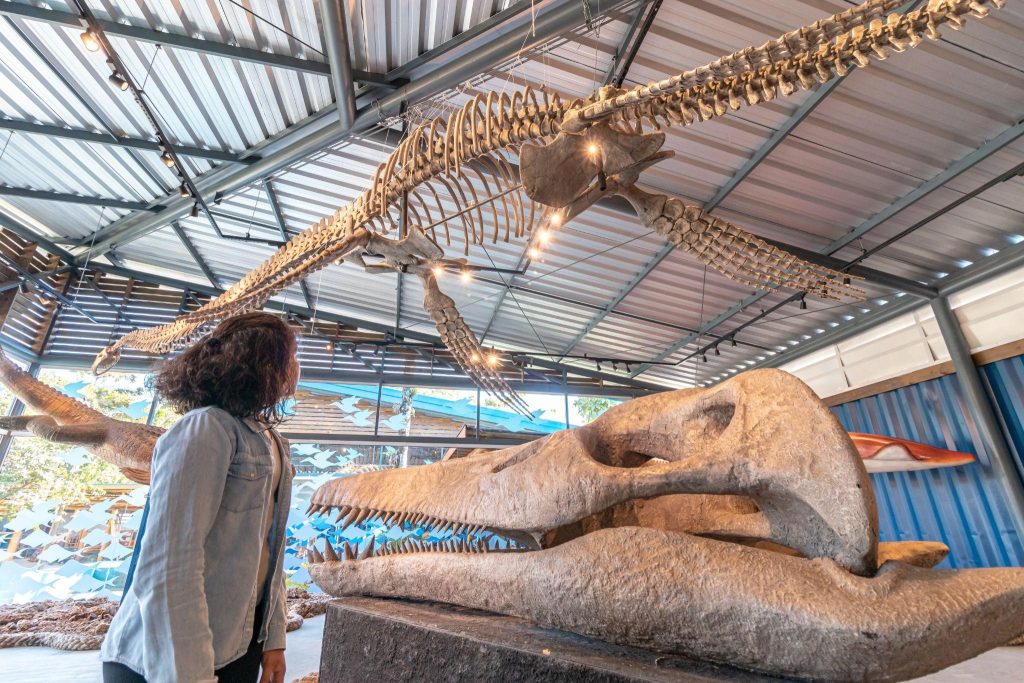 Jovem visitando Museu da Vida Marinha em Ubatuba