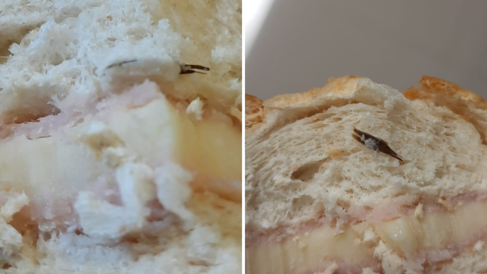 colagem de fotos que mostram pão com pedaço de barata preso à massa