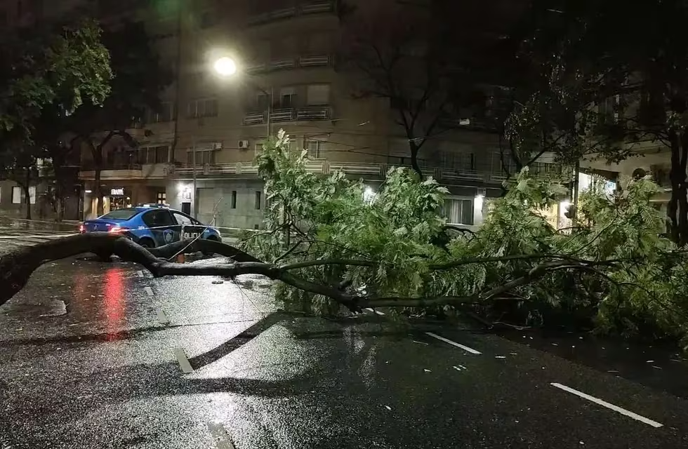árvore caída no meio da rua durante a noite na argentina