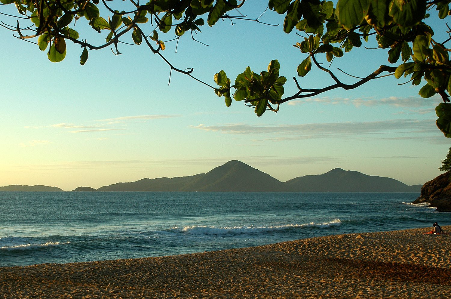 paisagem no fim de tarde em praia de ubatuba com areia à frente, o mar depois, galhos e folhas de árvores na porção de cima e montanhas no fundo; alunos d curso de guia turístico em ubatuba vão conferir e estudar em locais assim