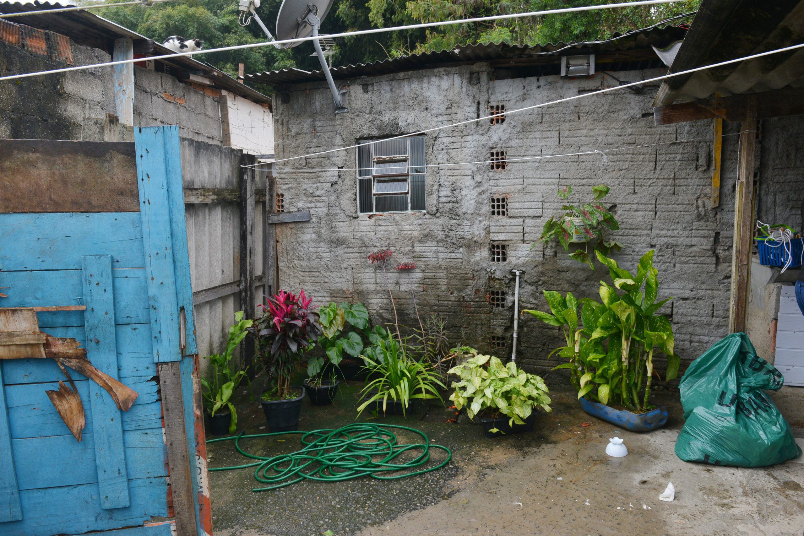 quintal de casa no Banhado em São José, com plantlas em vasos de flores