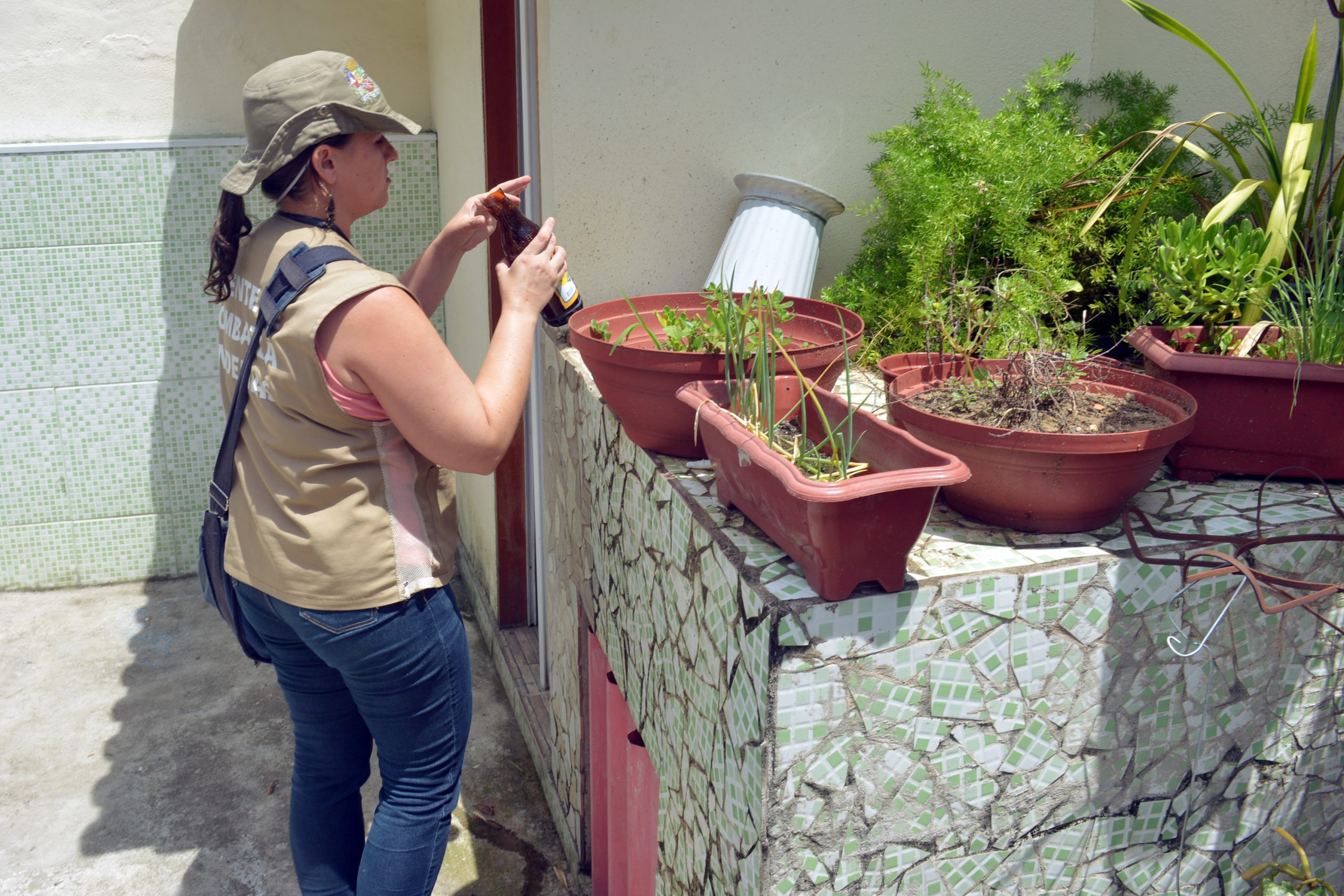 Agente fazendo avaliação larvária em garrafa e plantas em São José