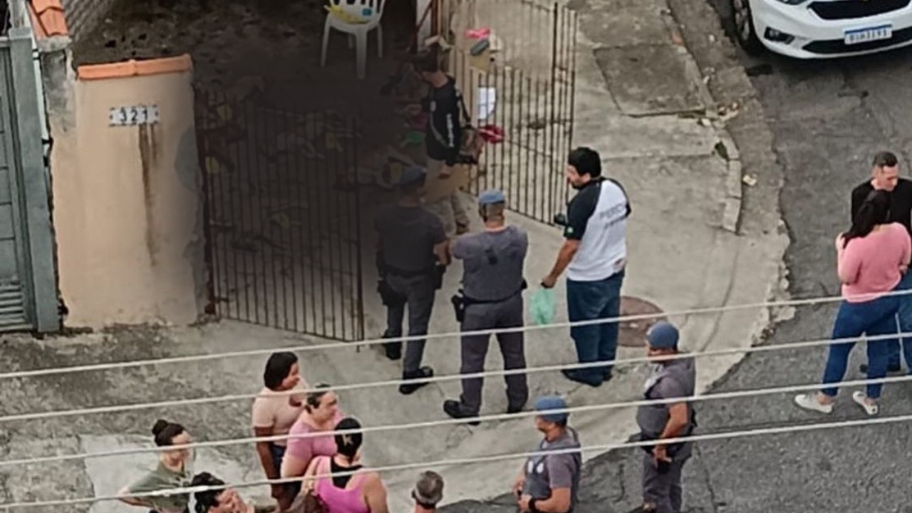 Uma cachorra foi encontrada viva na casa em São José dos Campos; outros sete cachorros morreram com sinais de envenenamento