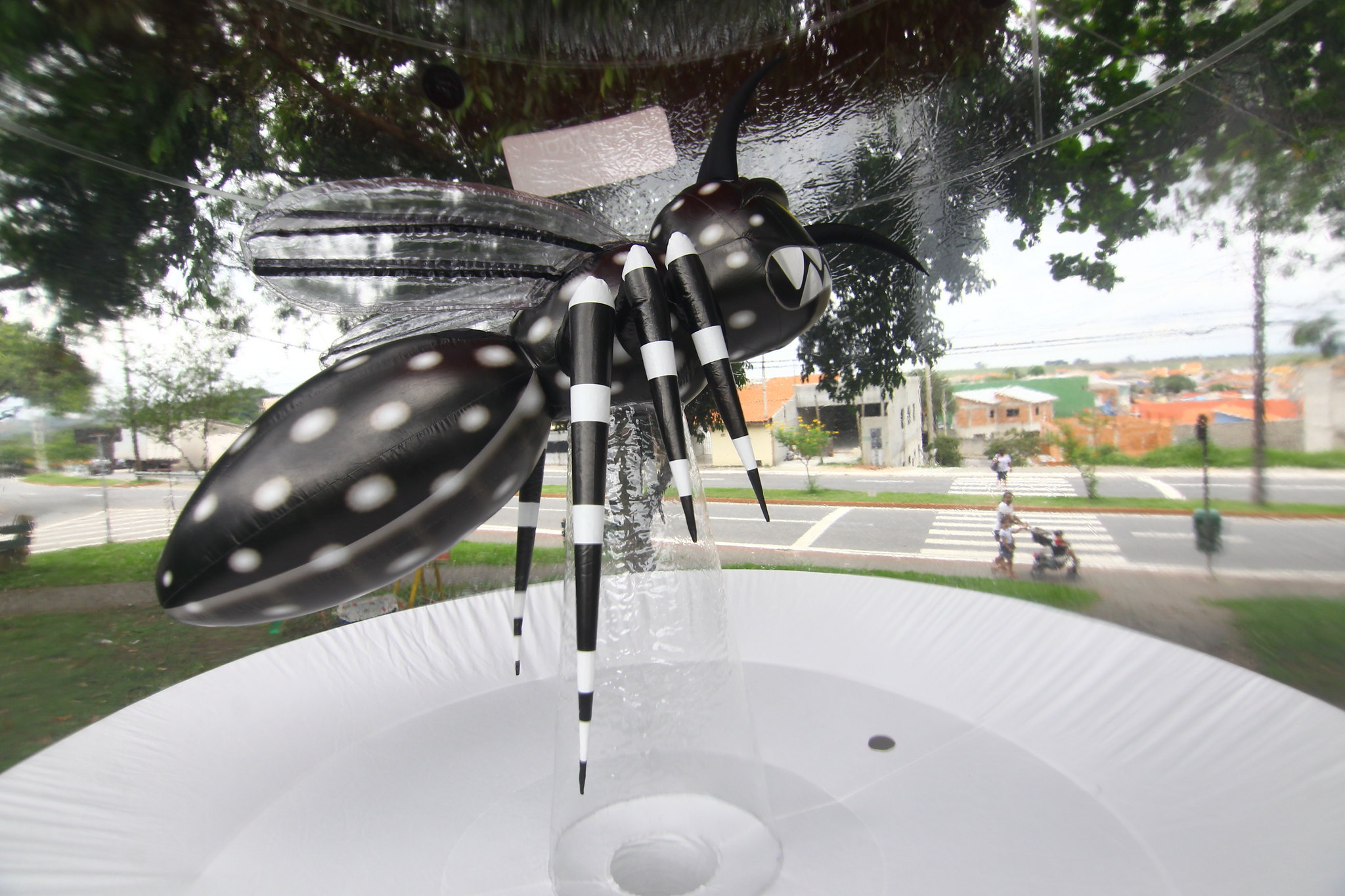 Em apenas 10 dias foram registrados mais de 450 casos de dengue em São José dos Campos