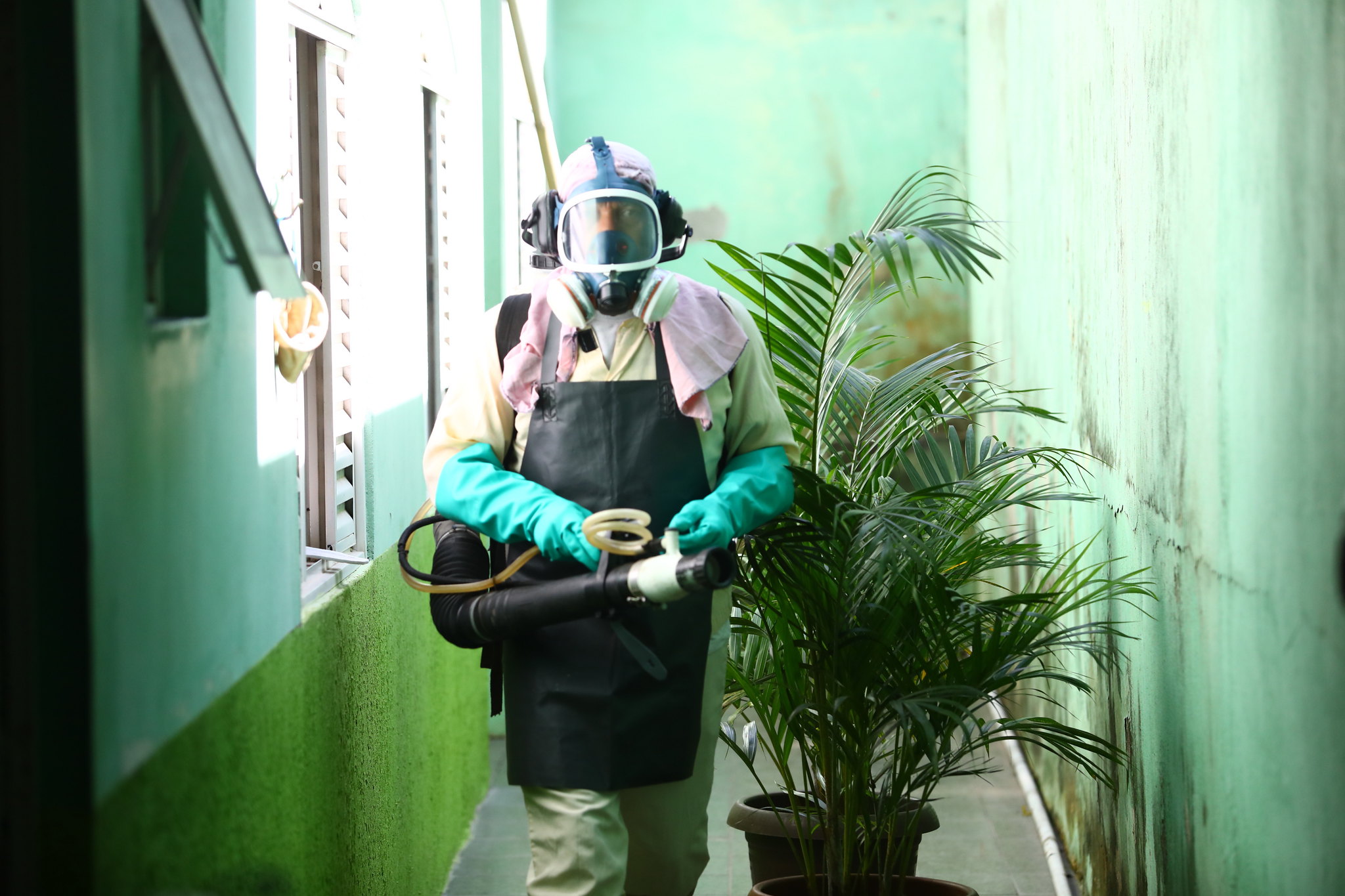 Casos de dengue em São José em 2024 já são mais do que o dobro do ano passado
