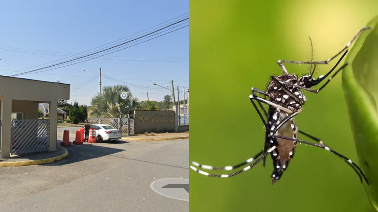 Exército vai ajudar no combate a dengue em Taubaté