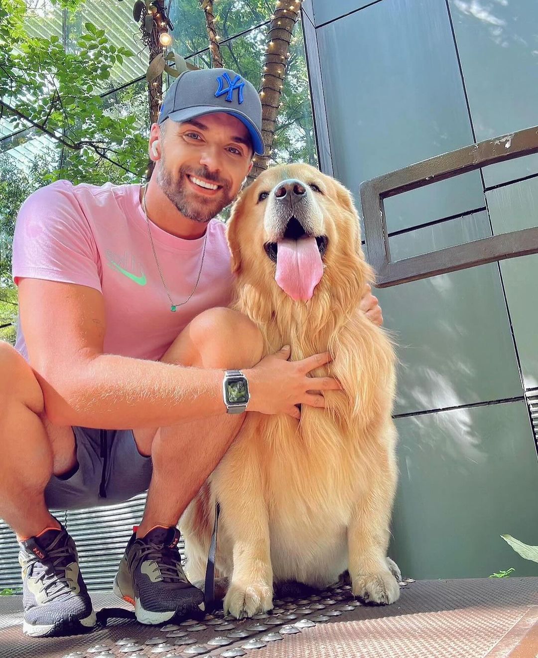 Cachorro que morreu em voo da GOL era da raça Golden Retriever e tinha 5 anos; ele teria licença veterinária para voar durante duas horas, mas ficou oito no ar (Crédito:jfantazzini)
