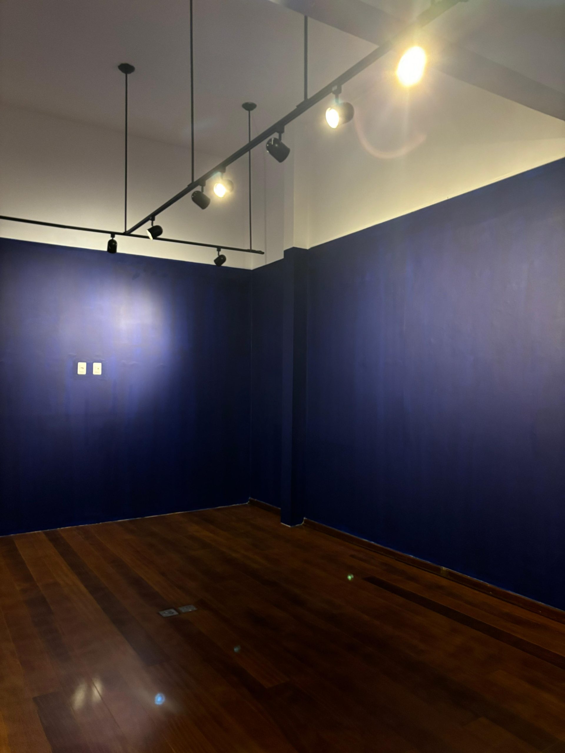 paredes todas azuis em tom escuro, da sala dos personagens da exposição de gutlich