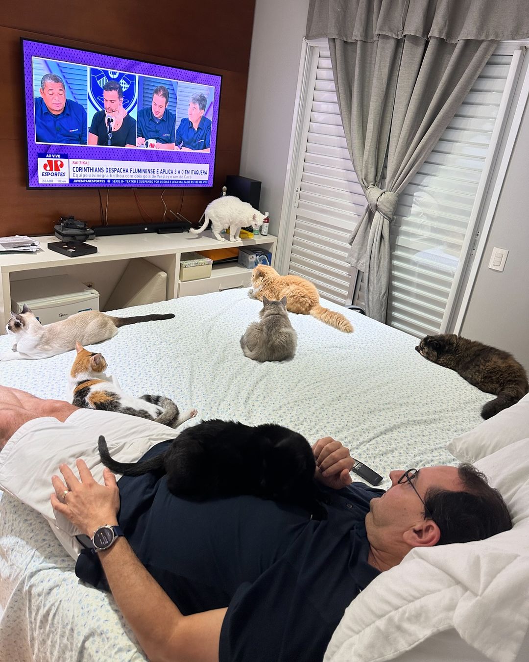 Prefeito Anderson Farias e seus gatinhos