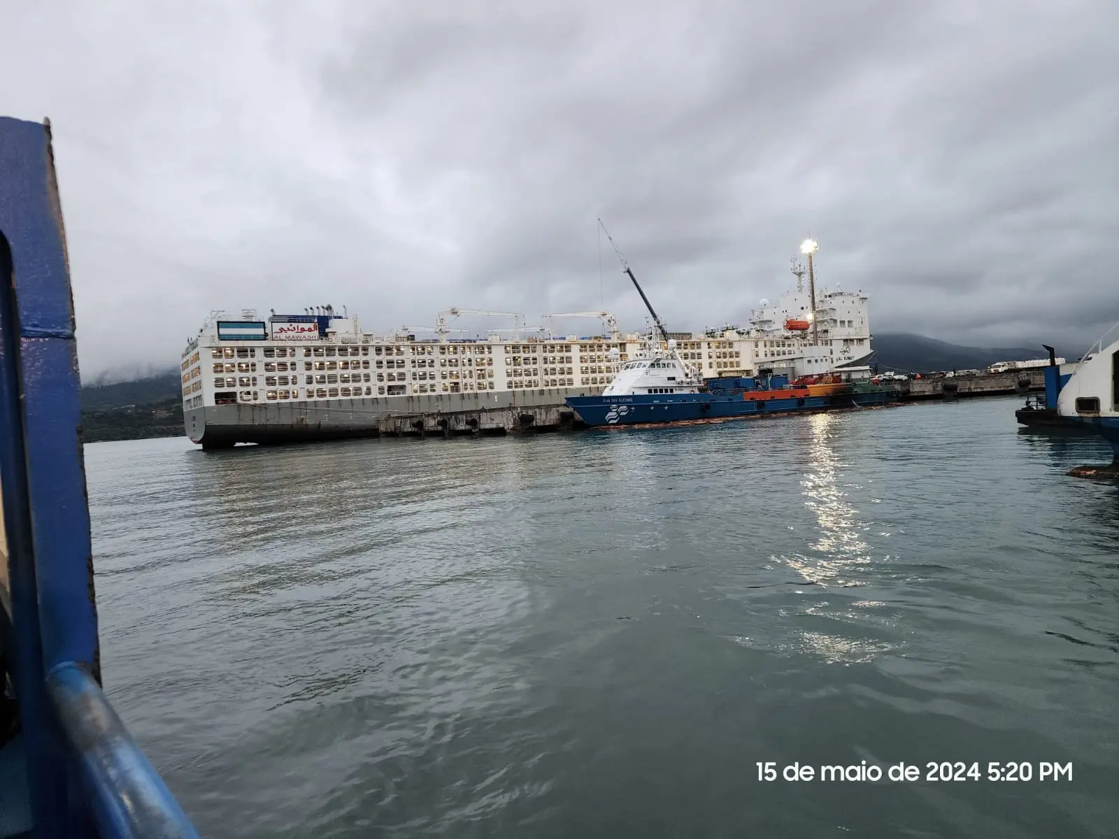 Navio Al Kuwait no Porto de São Sebastião; embarcação esteve envolvida com condições precárias de transporte de carga viva
