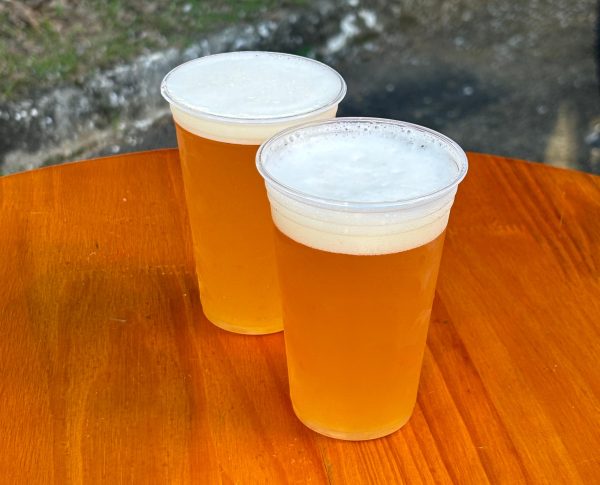 dois copos de chope da joca beer