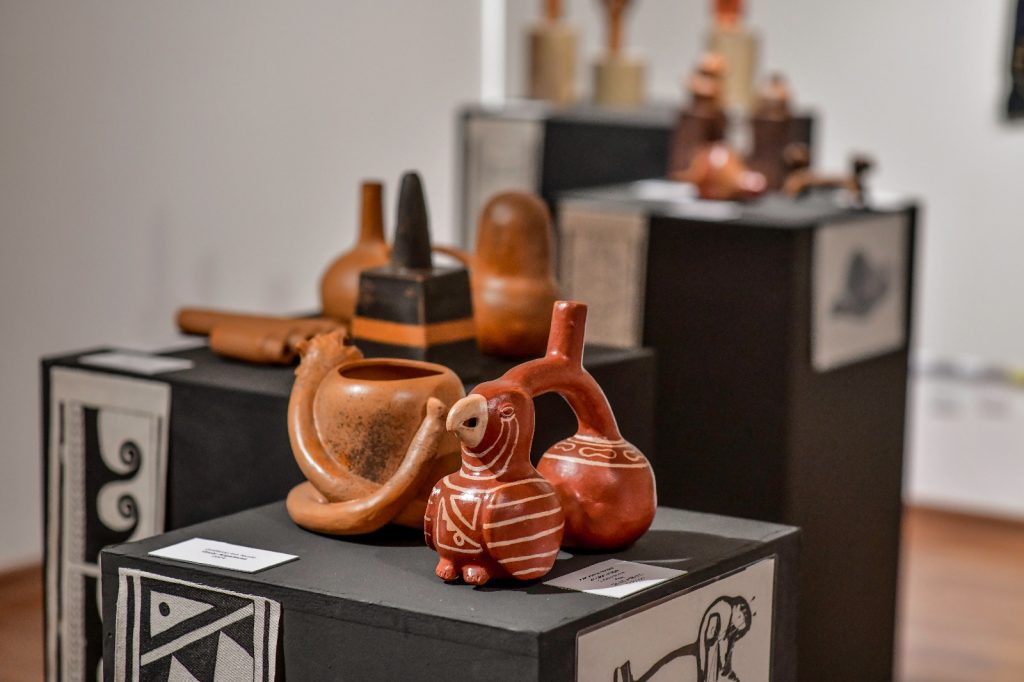 Exposição Ecoar, em SJC