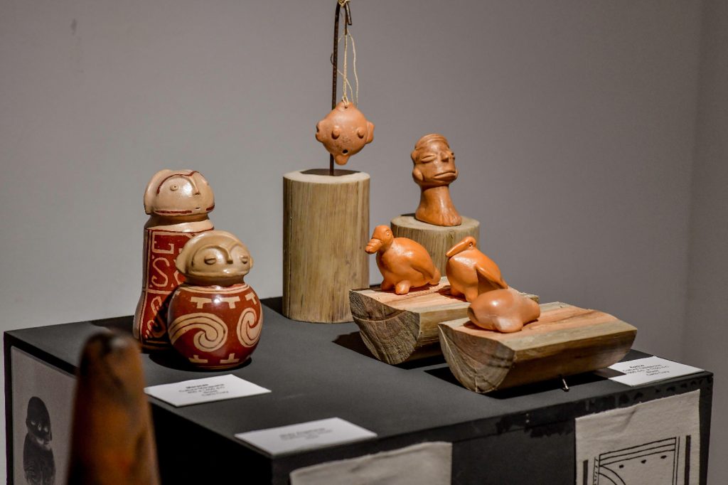 Exposição Ecoar, em SJC