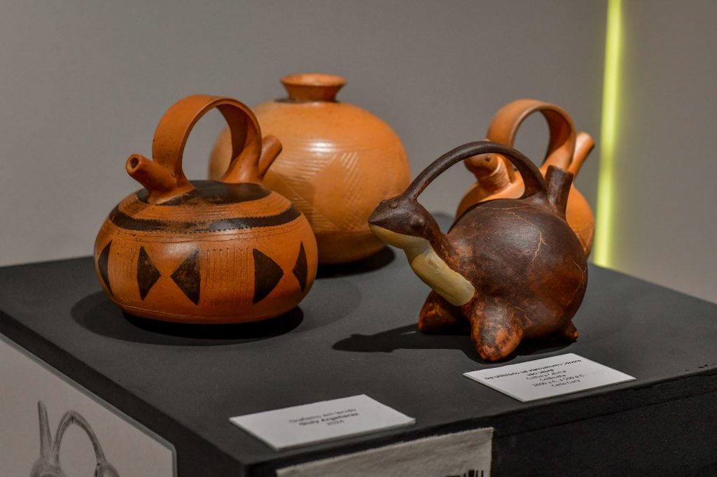 Exposição Ecoar, em SJC