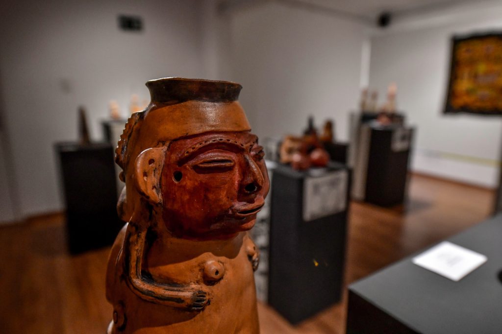 Exposição Ecoar, em SJC