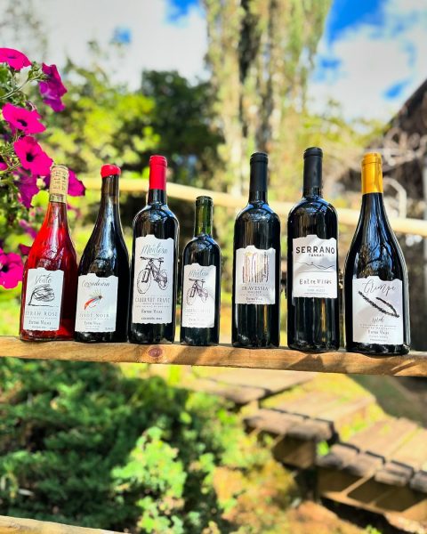 Vinhos da vínicola Entre Vinhos