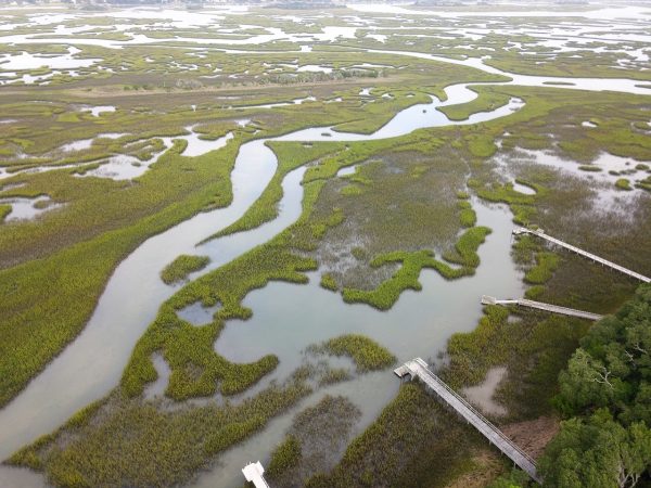 paisagem de pântano, exemplo de recurso hídrico de um país