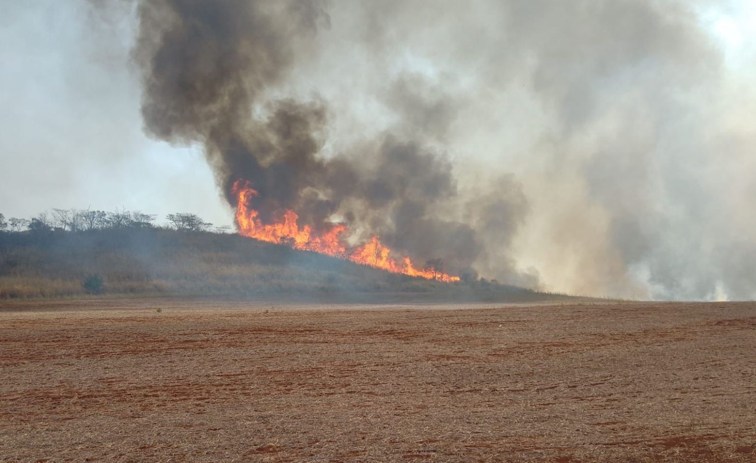 Incêndios atingiram mais de 30 cidades no interior paulista