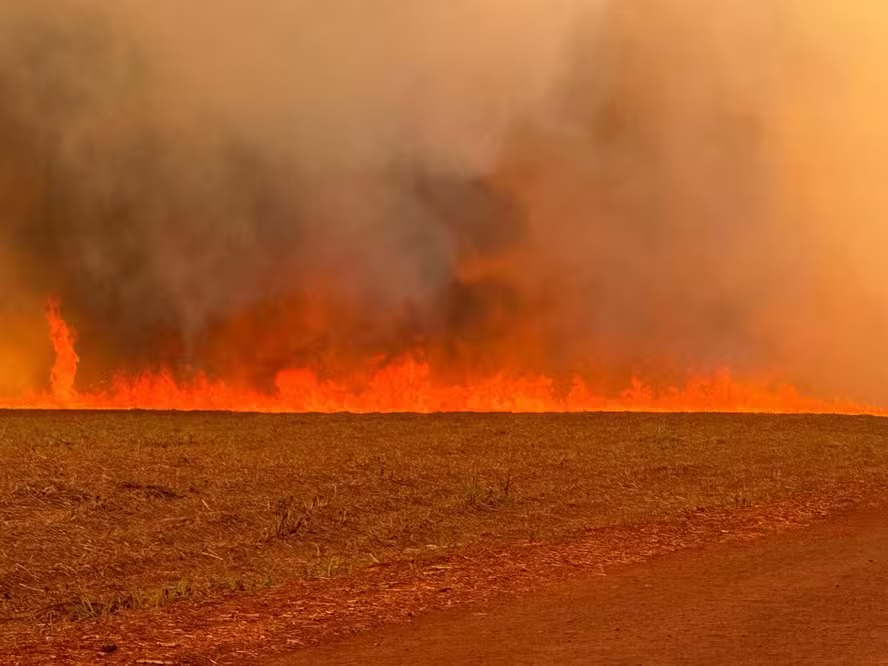 queimada em vegetação seca em sp