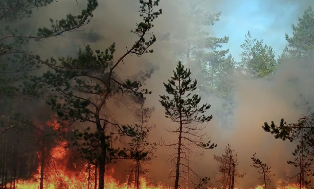Incêndios florestais fazem governo de SP desembolsar milhões em aeronaves para combate