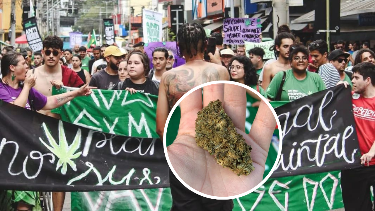 montagem com fotos da marcha da maconha em sjc no ano passado e círculo no meio com foto de pessoa segurand flore de maconha