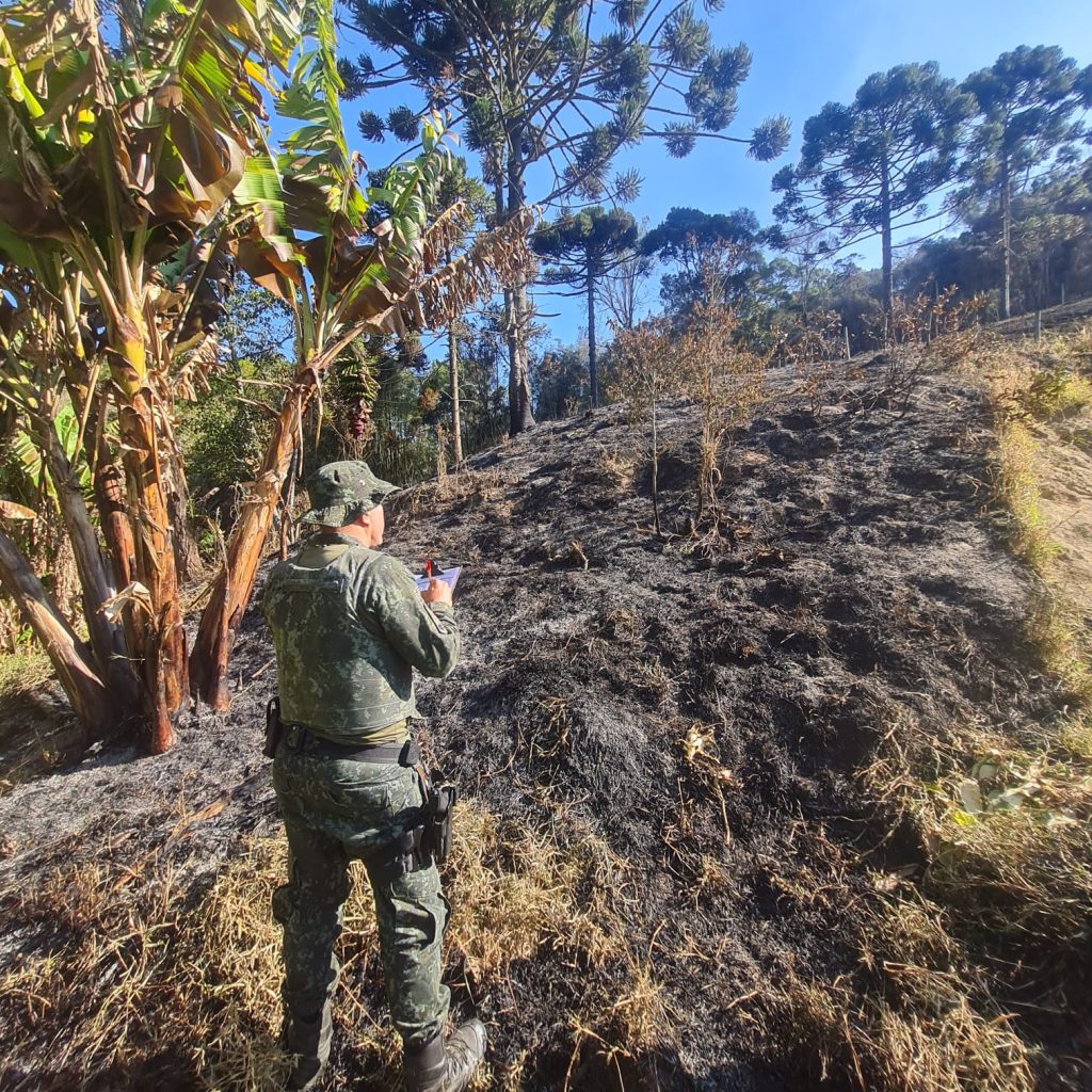 Área queimada por caseiro multado em mais de R$ 500 mil em São Luiz