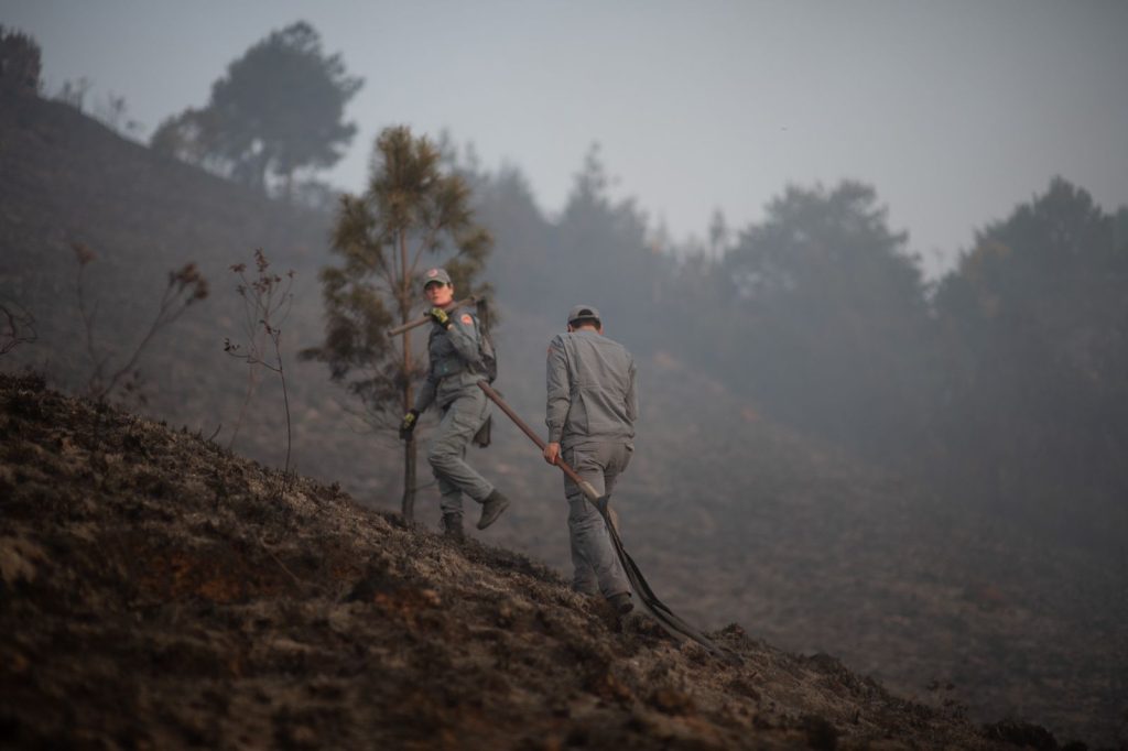 Incêndio em Campos do Jordão; Governo Federal irá antecipar Bolsa Família para cidades atingidas por incêndios