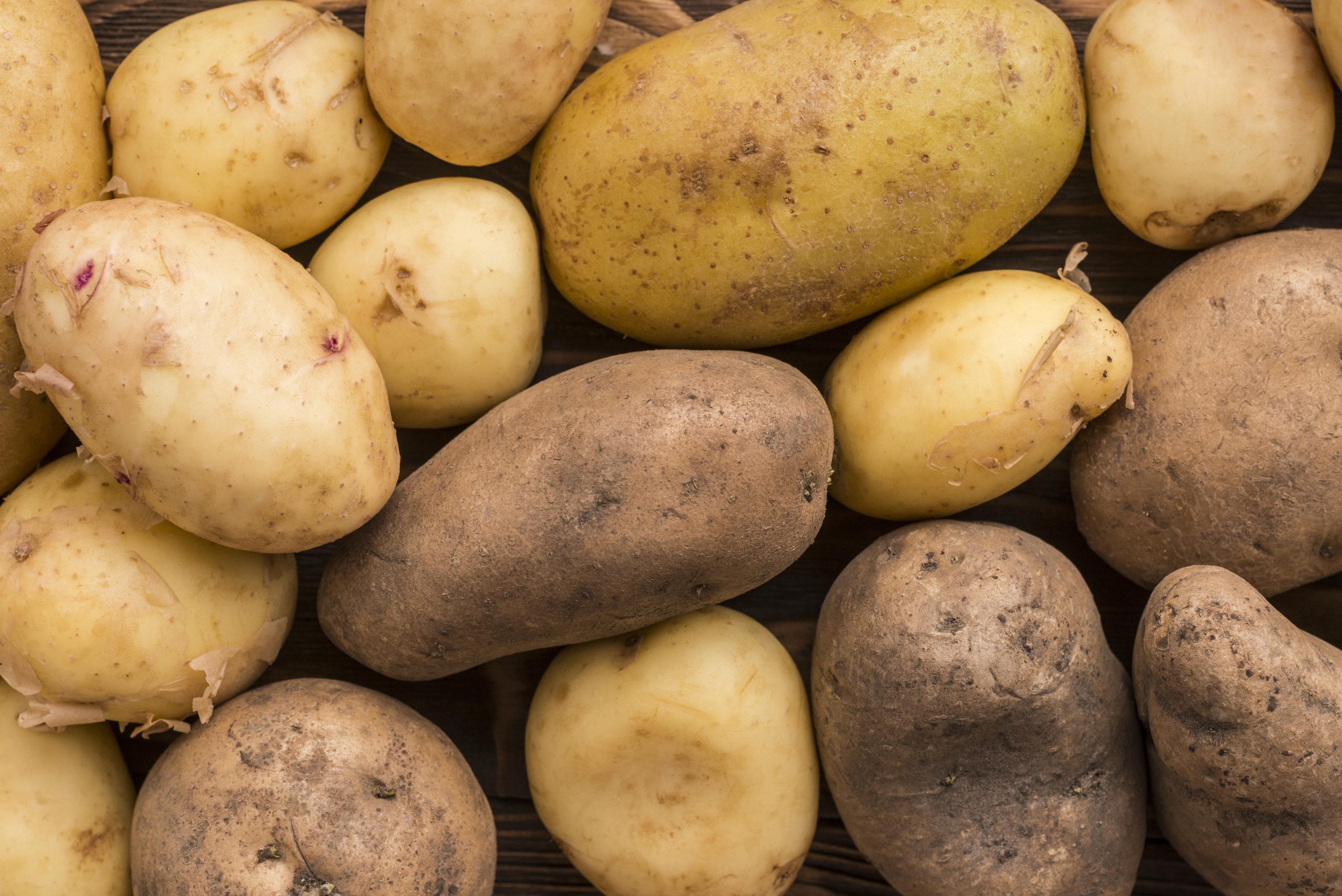 Ao vencedor, as batatas, como disse Machado de Assis, em “Quincas Borba”