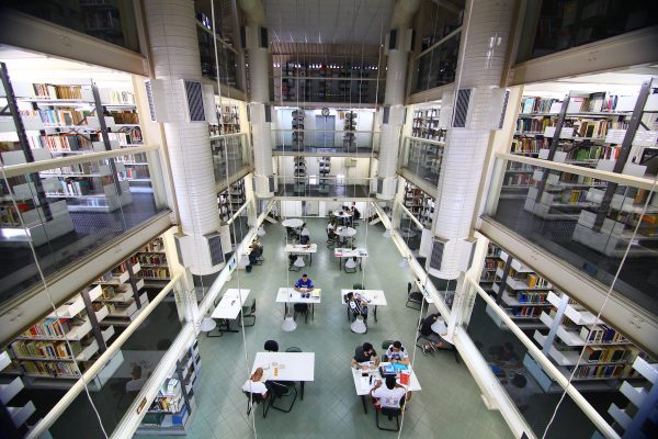 No coração da palavra: o dia em que a biblioteca me salvou