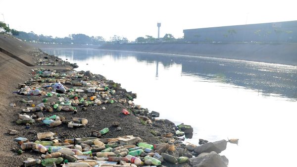 Rios no Brasil: sem água, não há floresta nem CO₂; estamos com as prioridades erradas?
