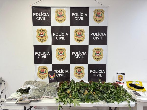 Polícia descobre plantação de maconha na zona norte de SJC
