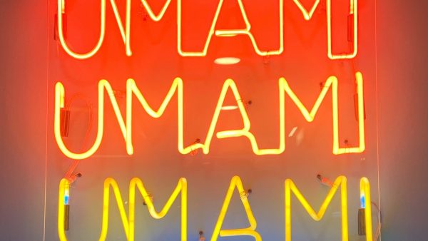 Conheça mais sobre o Umami, o quinto gosto descoberto por um químico japonês