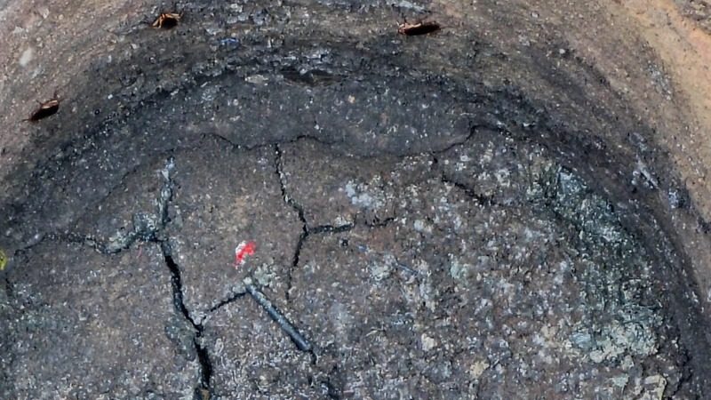 Calcinhas, preservativos e até concreto: o que mais entope o esgoto e causa prejuízo na região
