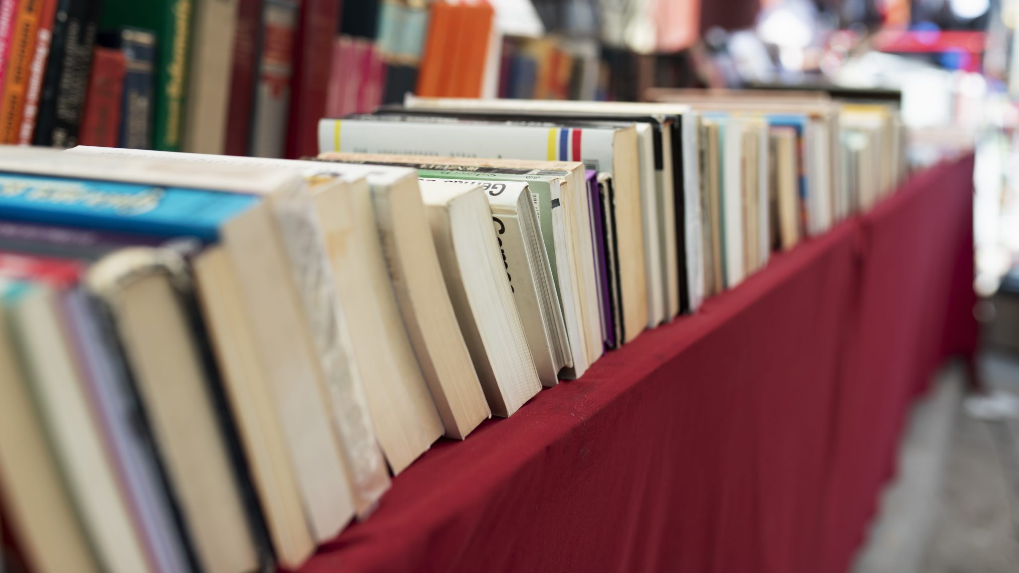 Jacareí expande Feira Literária e leva evento ao Parque da Cidade com distribuição de 25 mil livros