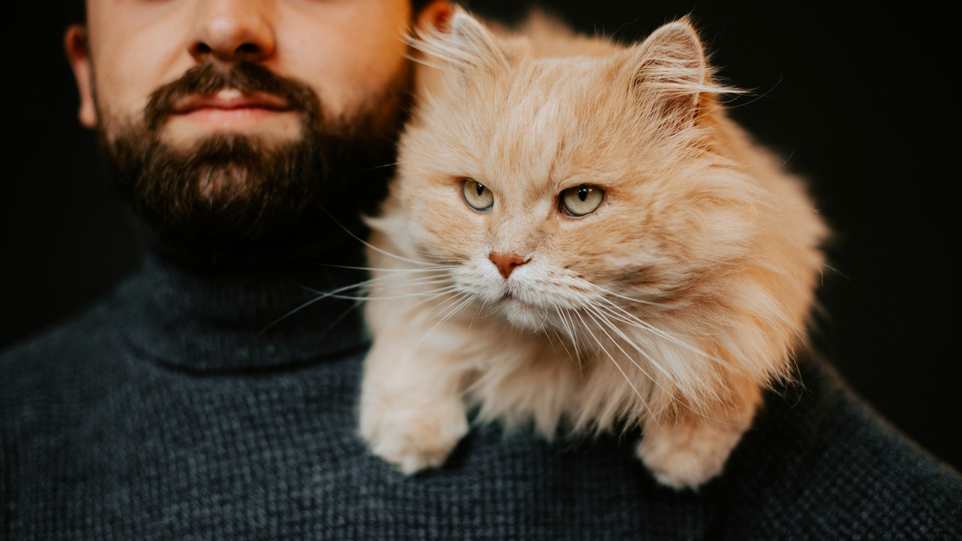 Museu da Pessoa abre as portas aos pets