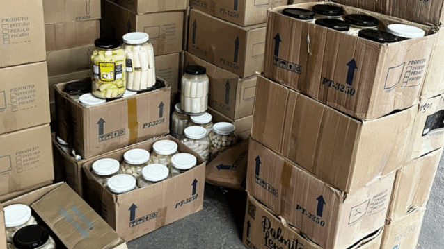 Operação desmonta esquema de extração ilegal de palmito juçara no Vale do Paraíba e em outras regiões de SP