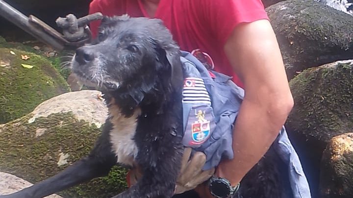 Bombeiros salvam cadela arrastada pela correnteza e presa entre pedras na Cachoeira das Poções