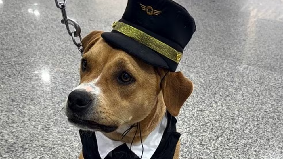 Senhores passageiros, a Charlie deseja uma boa viagem!