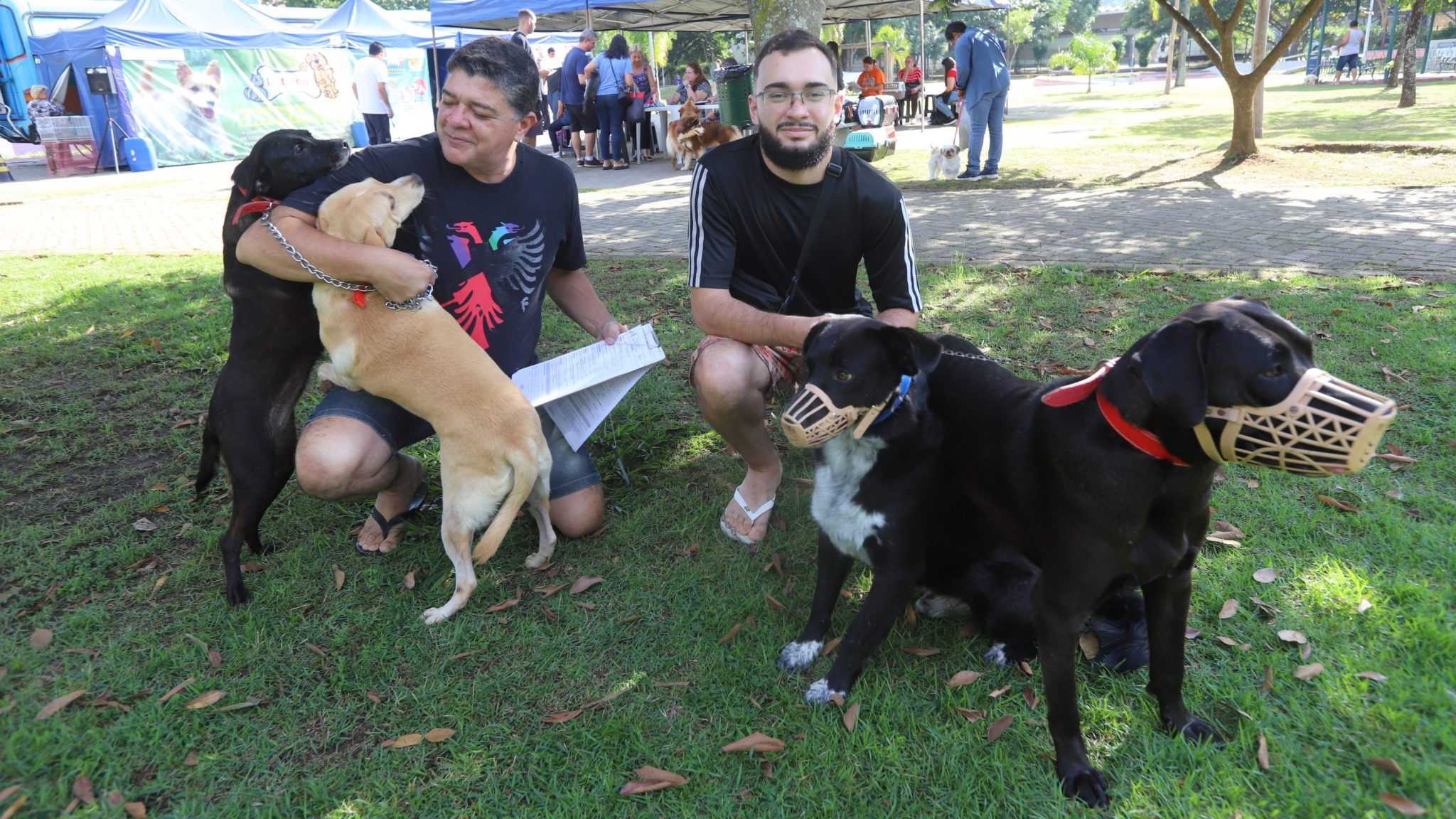 Jacareí abre cadastro para mapear ONGs e protetores independentes de animais na cidade