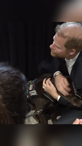 Príncipe Harry aos pés da cachorrinha Gigi