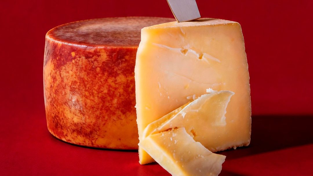 Produtores paulistas levam queijos premiados, pães e charcutaria ao Mais Gastronomia