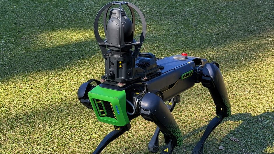 'Cão-robô' começa a ser testado em São José para reforçar segurança e Defesa Civil