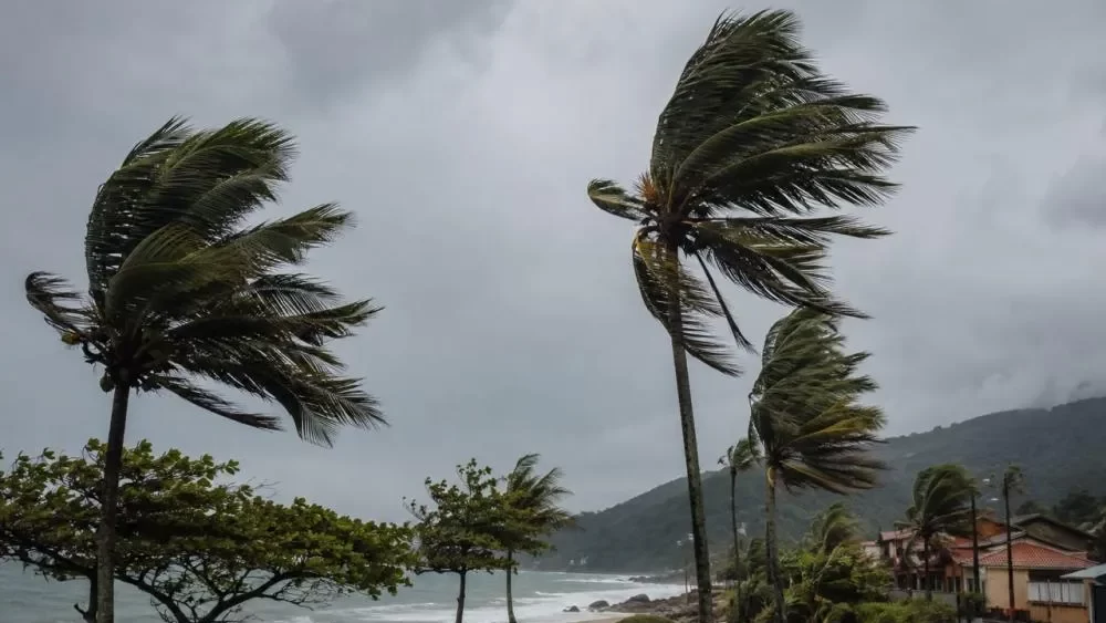 Alerta de vendaval e tempestade paralisa Litoral Norte