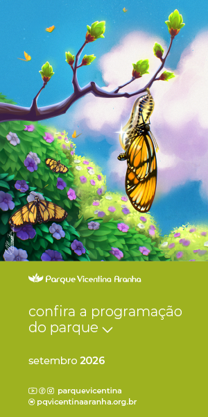 VICENTINA ARANHA