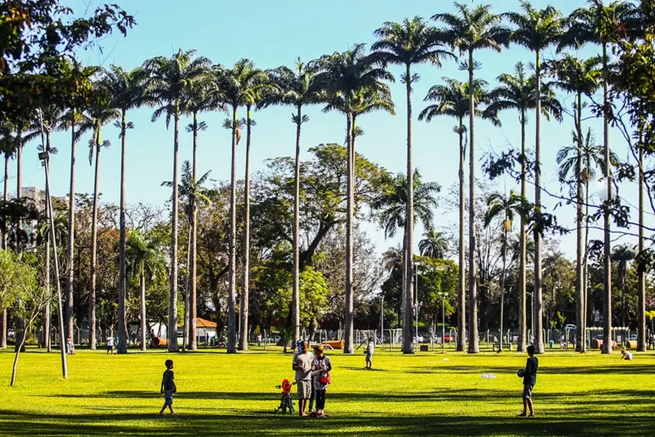 Parque da Cidade de SJC, com pessoas andando, árvroes ao fundo, grama e céu azul.