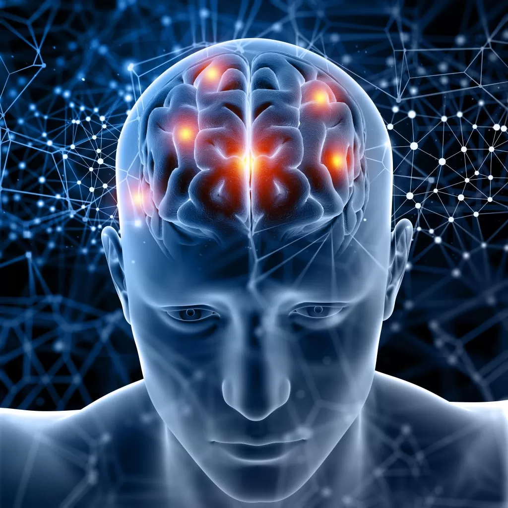imagem computadorizada de um cérebro; foto ilustra matéria sobre uma pesquisa que indica que dificuldades emocionais podem afetar memória