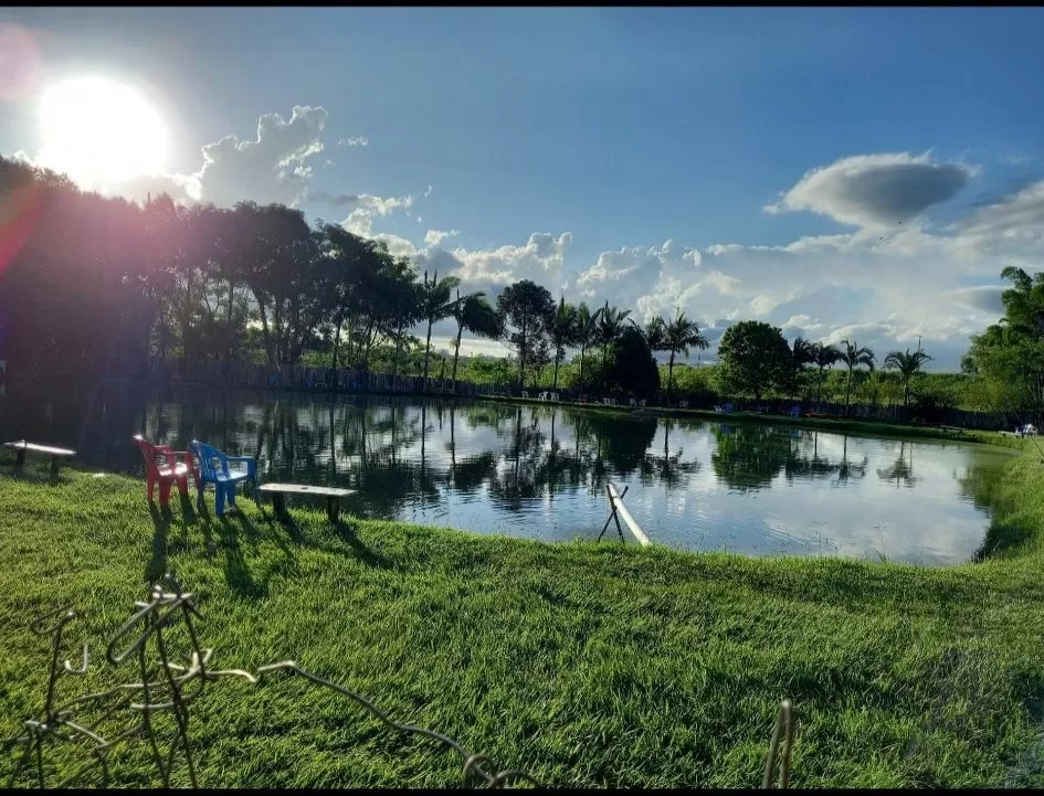 A foto ilustra um dos pesqueiros em SJC, o Marson, que possui um lago ao centro, banquinhos coloridos, árvores ao redor e céu azul; foto mostra um Sol forte refletindo o lago.