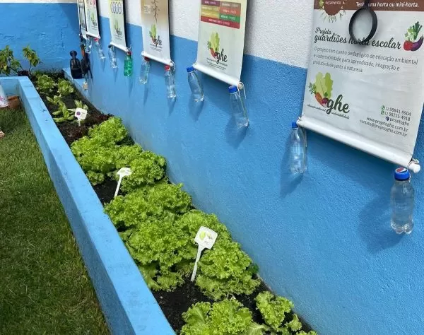 Horta da Escola Espaço do Saber, em São José dos Campos